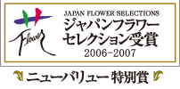笹岡花卉農園日本フラワーオブザイヤー切花部門ベストフラワーニューバリュー特別賞